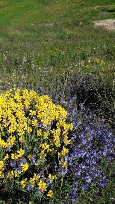A Cordon Entre Bois Et Nature Exterior photo