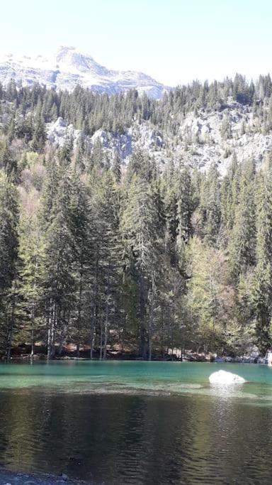 A Cordon Entre Bois Et Nature Exterior photo